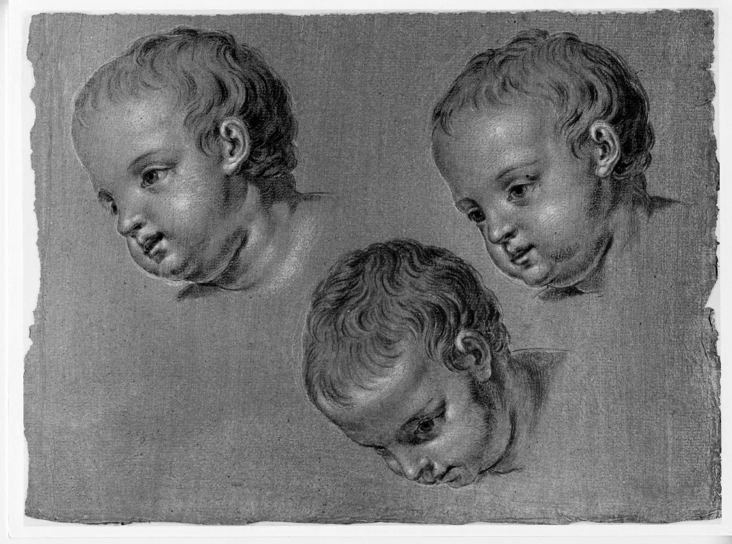 teste di bambino (disegno) di Cartolari Fabrizio (attribuito) (metà sec. XVIII)