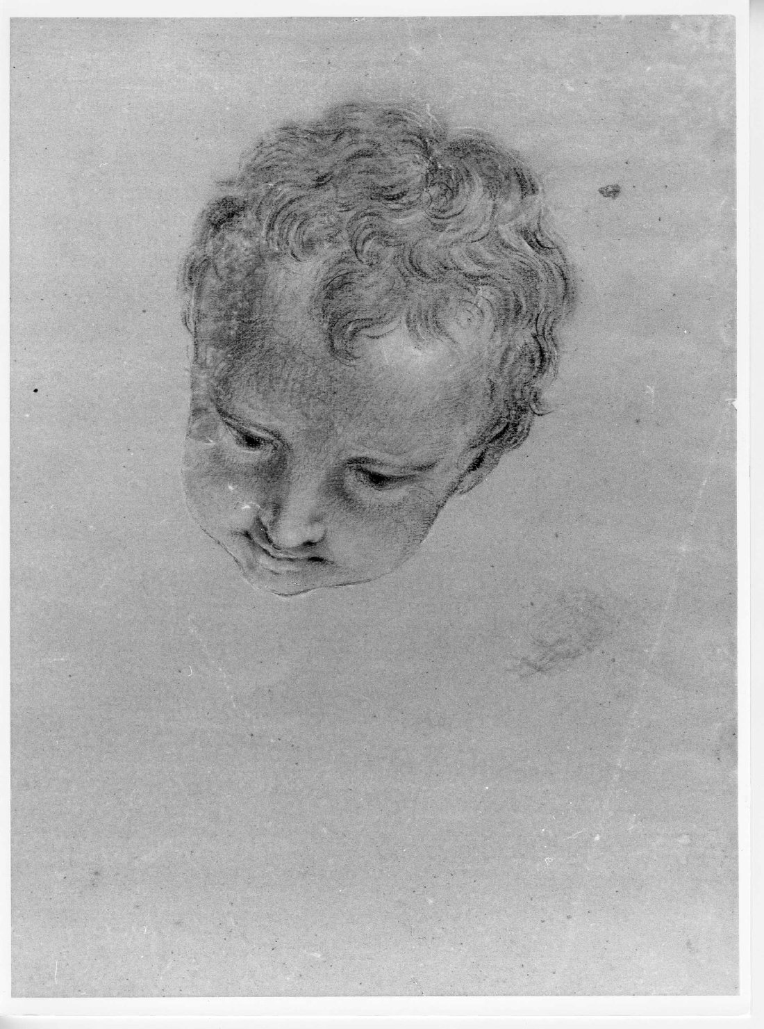 testa di bambino (disegno) di Cartolari Fabrizio (attribuito) (metà sec. XVIII)