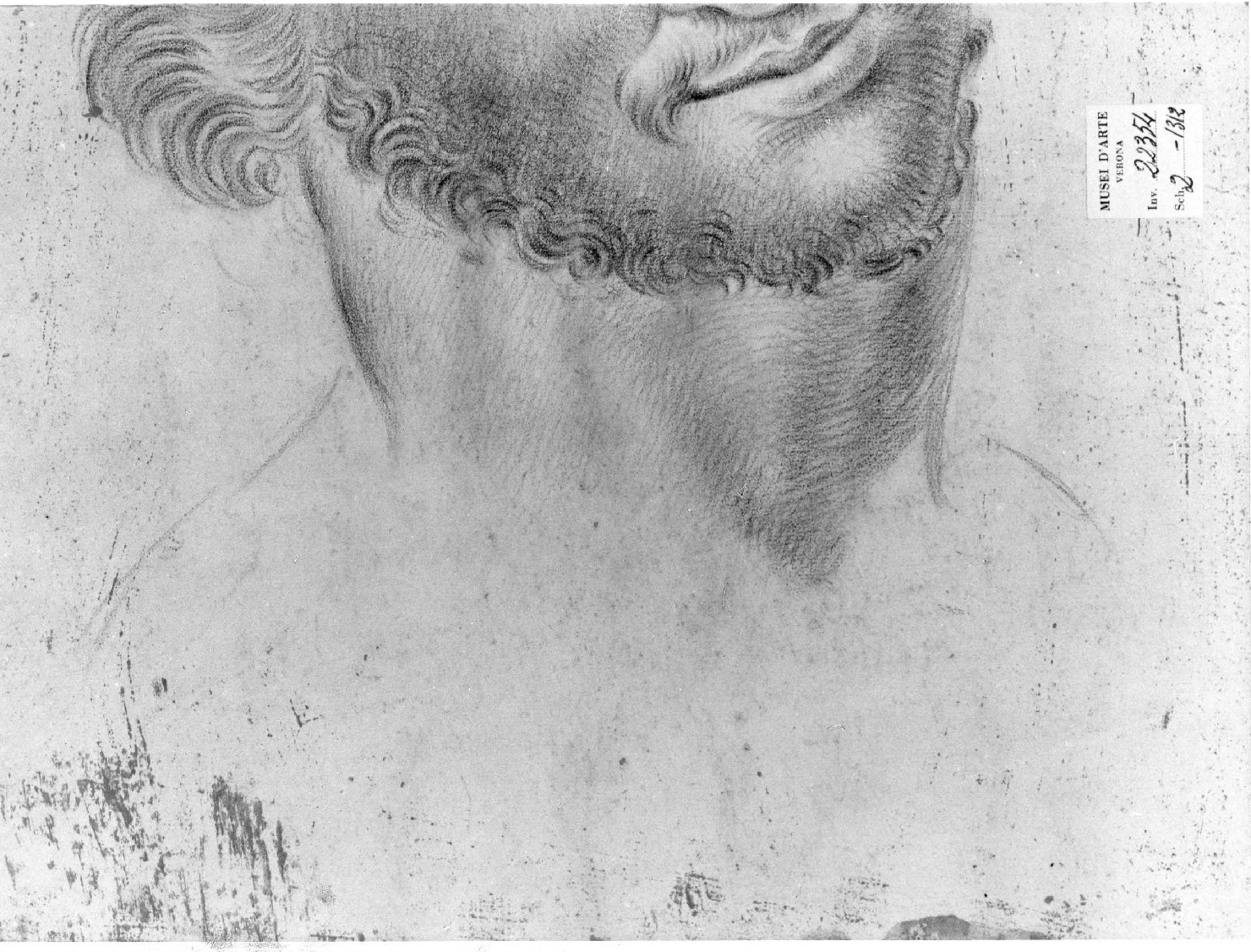 testa d'uomo (disegno) di Cartolari Fabrizio (attribuito) (metà sec. XVIII)