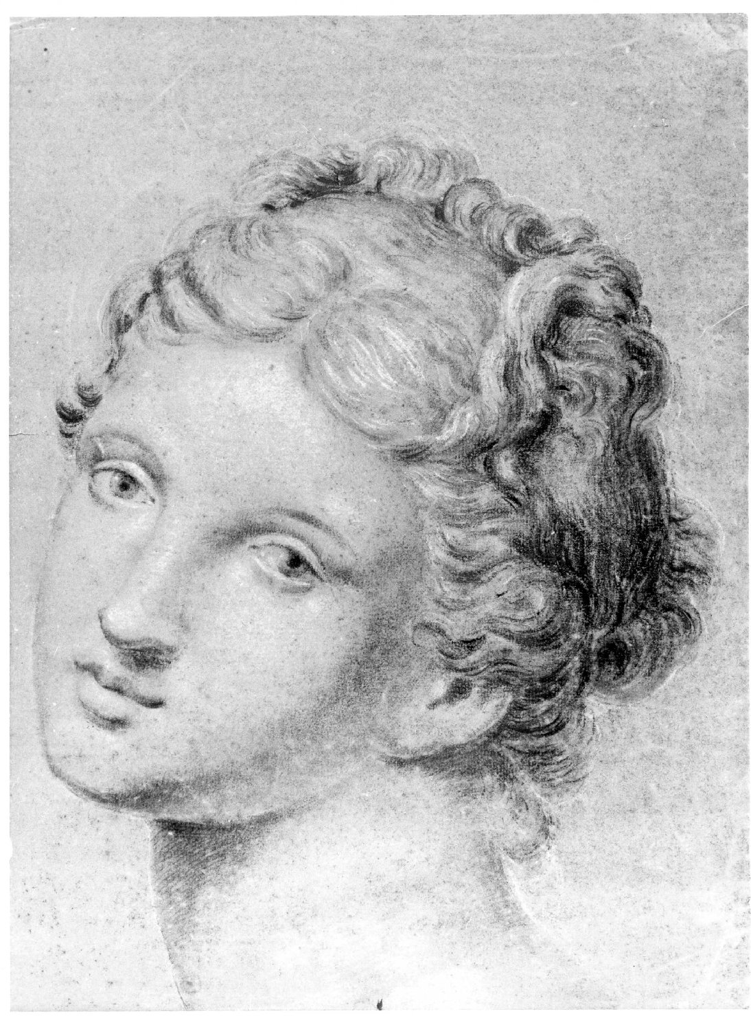testa di donna (disegno) di Cartolari Fabrizio (metà sec. XVIII)