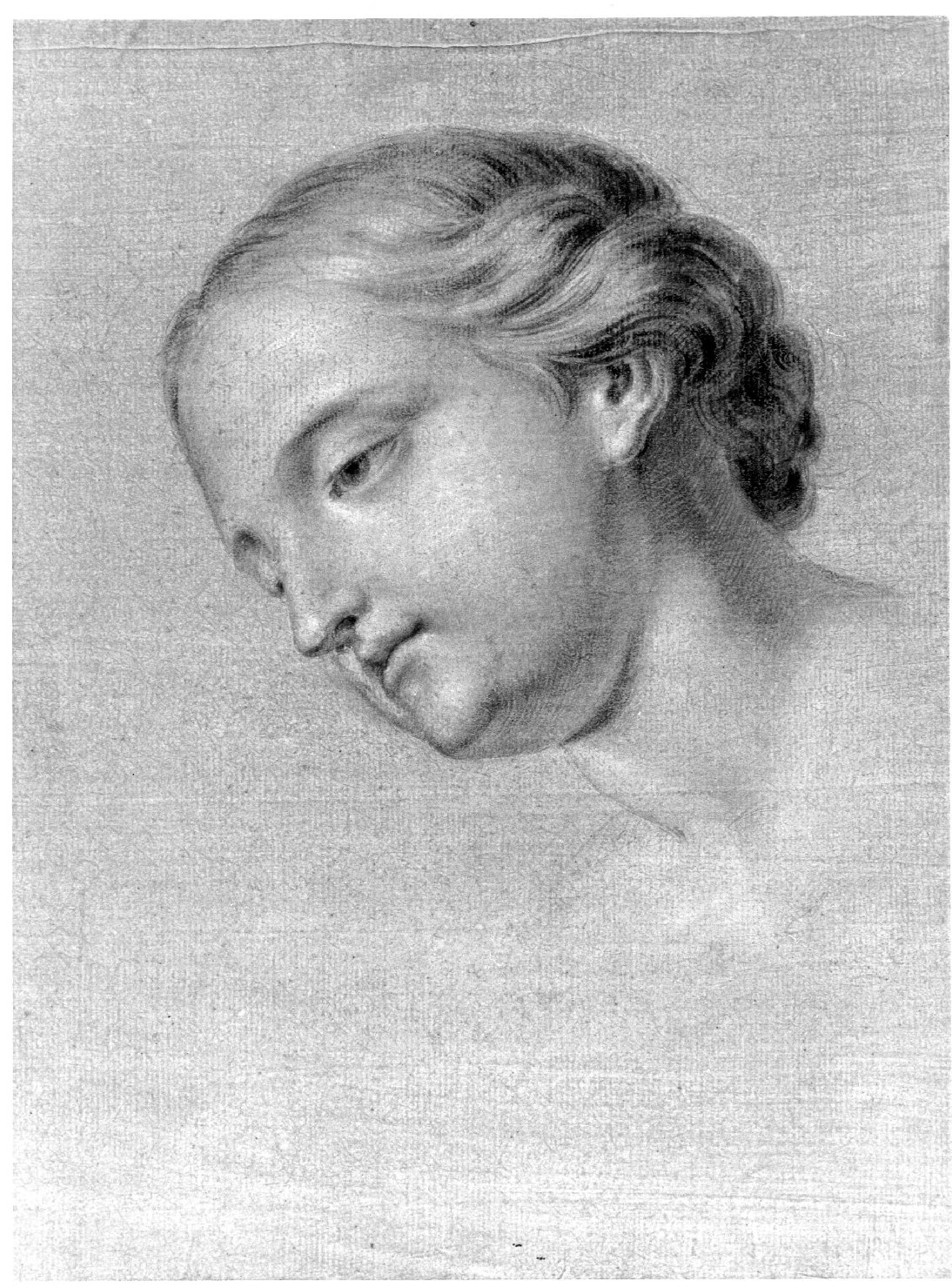 testa di donna (disegno) di Cartolari Fabrizio (metà sec. XVIII)