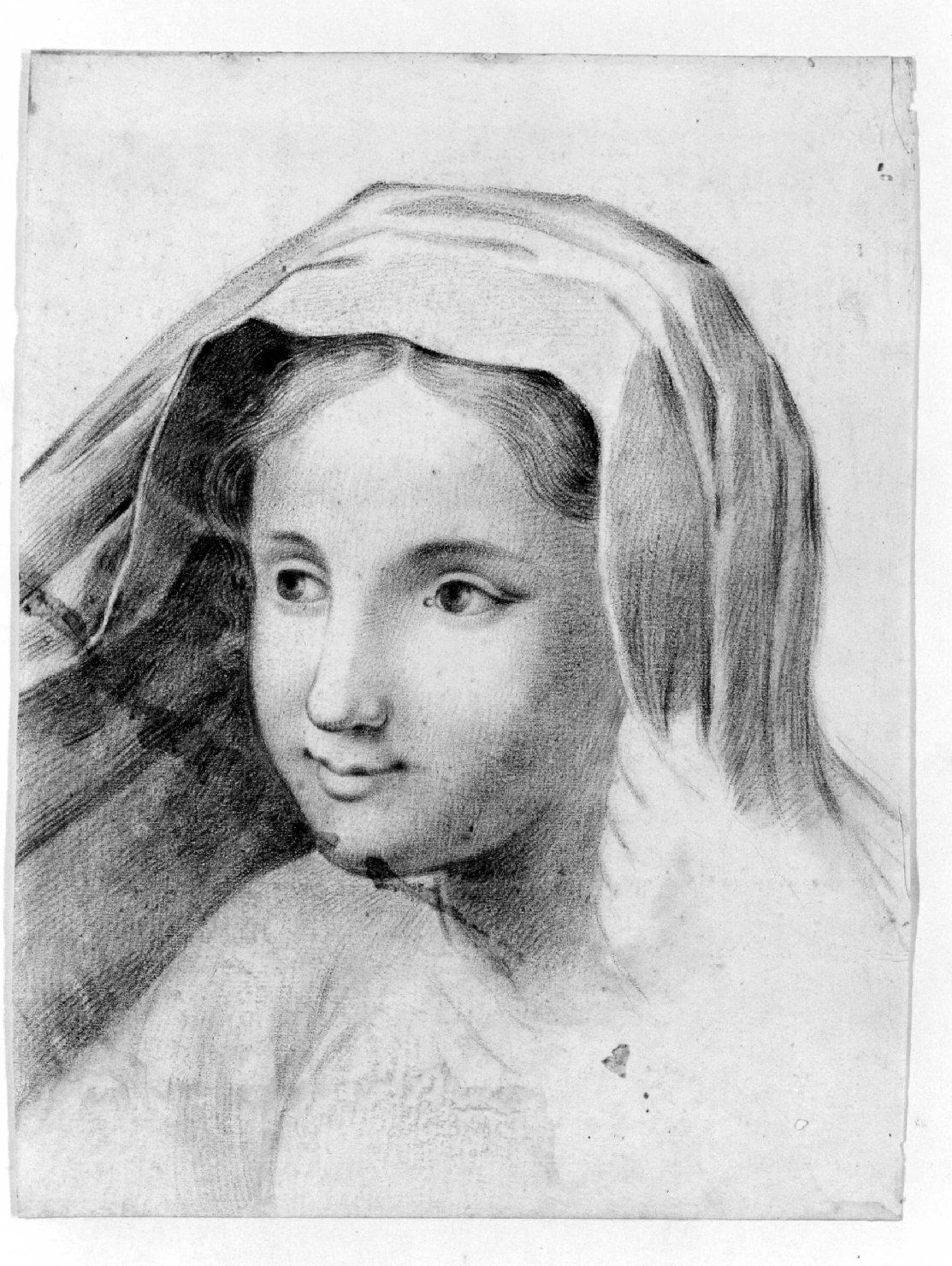 testa di donna (disegno) di Cartolari Fabrizio (metà sec. XVIII)