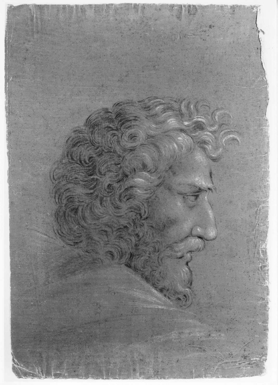 testa d'uomo di profilo (disegno) di Cartolari Fabrizio (seconda metà sec. XVIII)