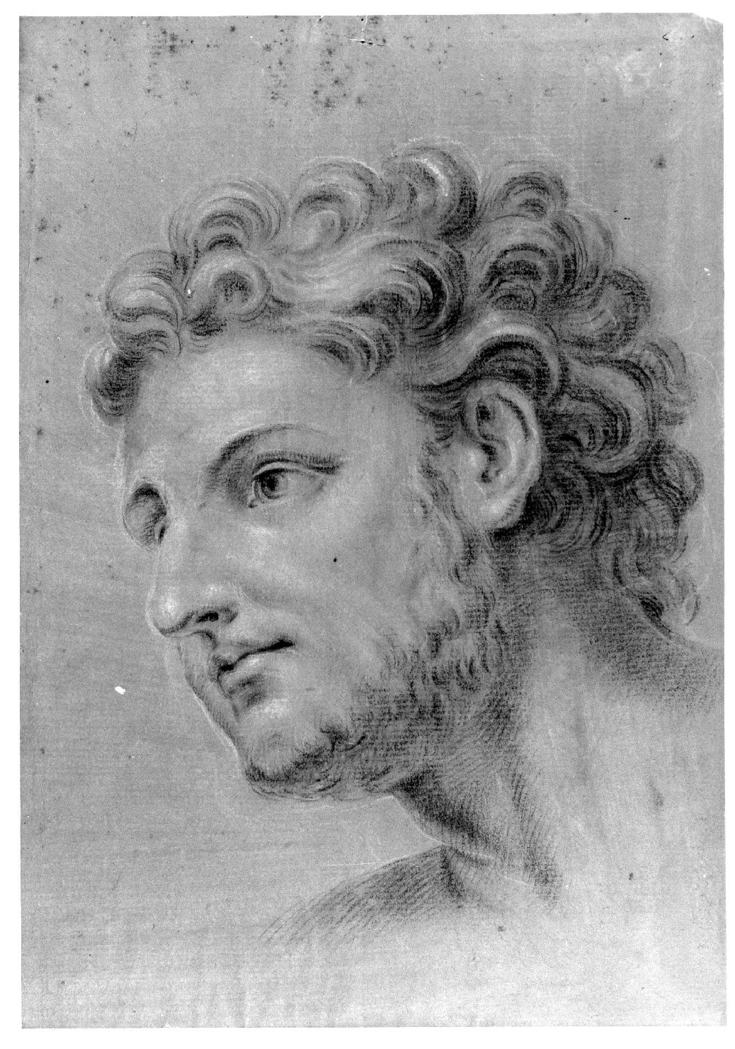 testa d'uomo (disegno) di Cartolari Fabrizio (metà sec. XVIII)