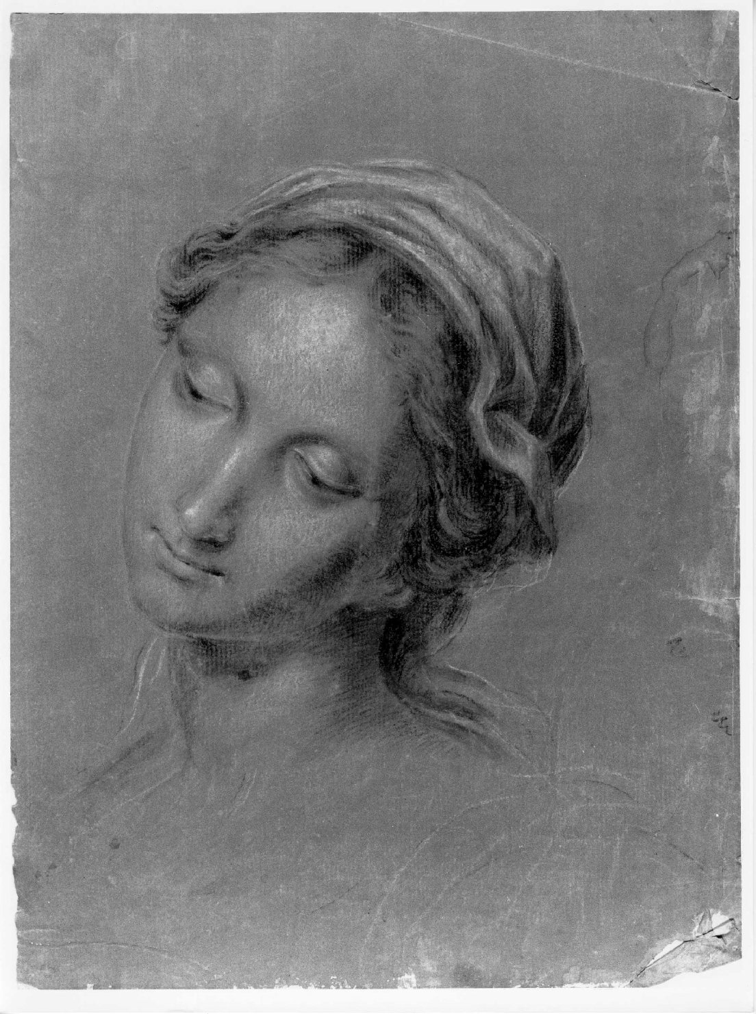 testa di donna (disegno) di Cartolari Fabrizio (metà sec. XVIII)