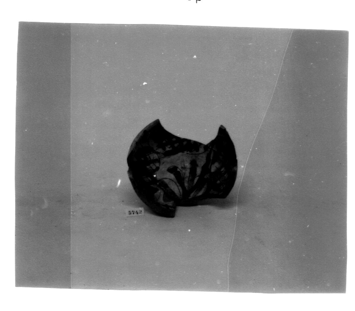 scodella - ambito veneto (seconda metà sec. XV)