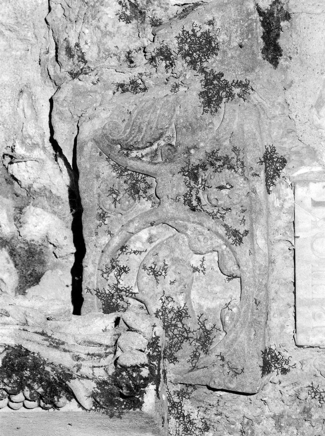 motivo decorativo a tondi con animali (decorazione plastica, frammento) - bottega Italia nord-orientale (secc. XI/ XII)