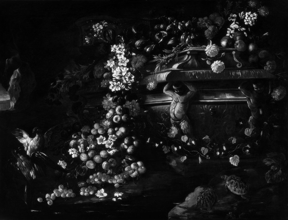 natura morta (dipinto, opera isolata) di Bimbi Bartolomeo (attribuito) (fine/inizio secc. XVII/ XVIII)