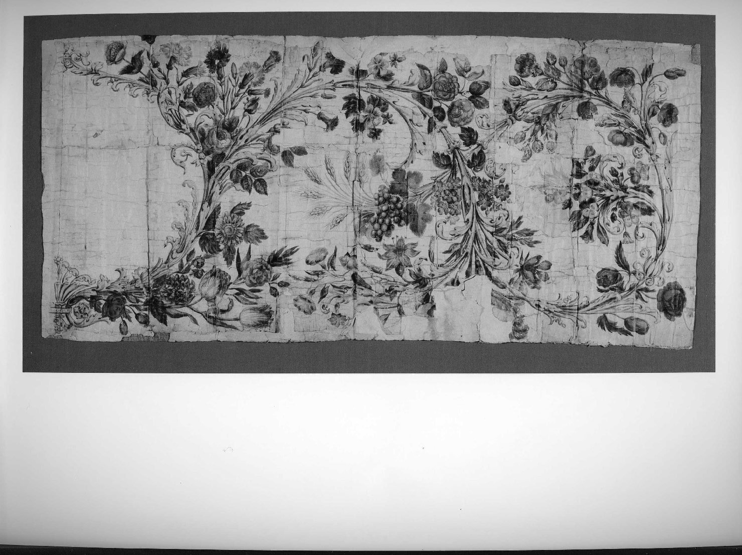 motivi decorativi vegetali e floreali (disegno preparatorio, elemento d'insieme) - ambito veronese (sec. XIX)